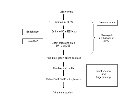 DFI method flowchart